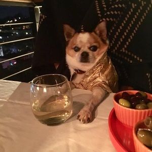 Meet your Posher, Raechel